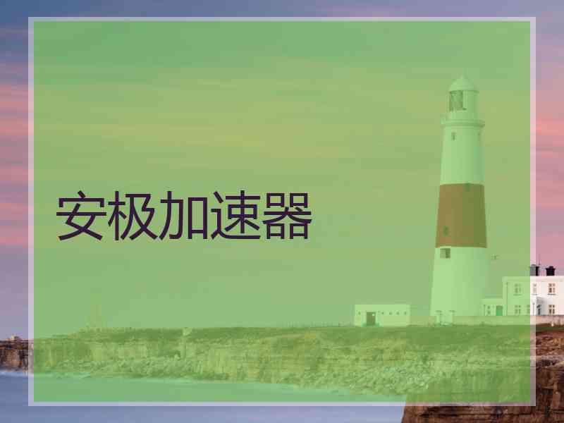 安极加速器