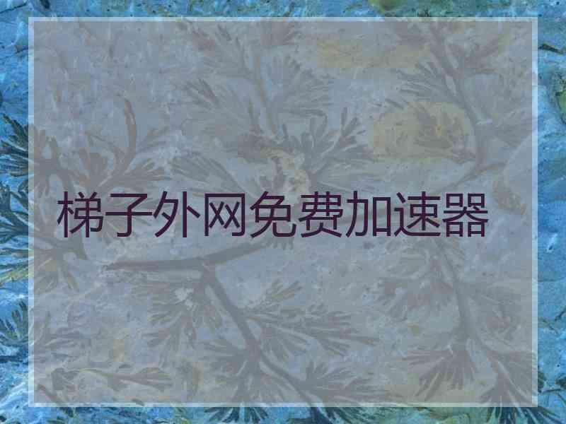 梯子外网免费加速器