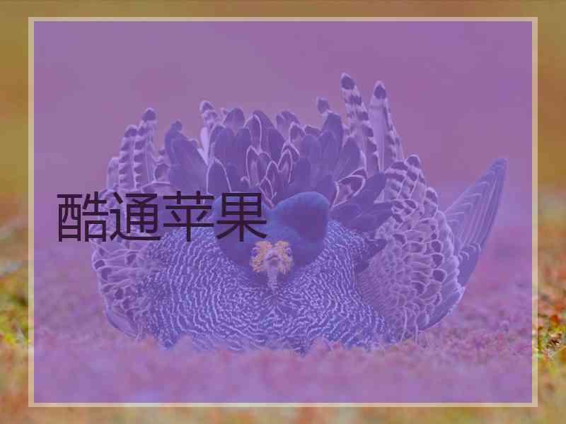 酷通苹果