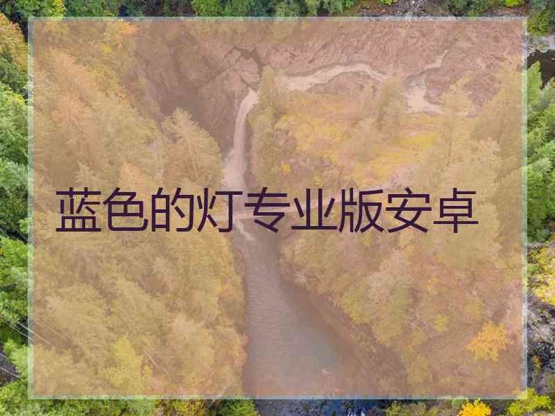 蓝色的灯专业版安卓