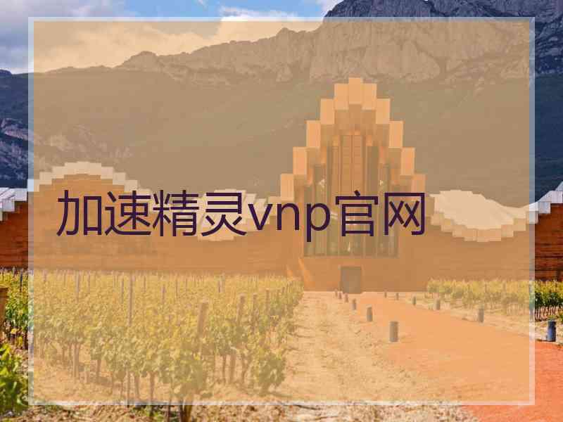 加速精灵vnp官网