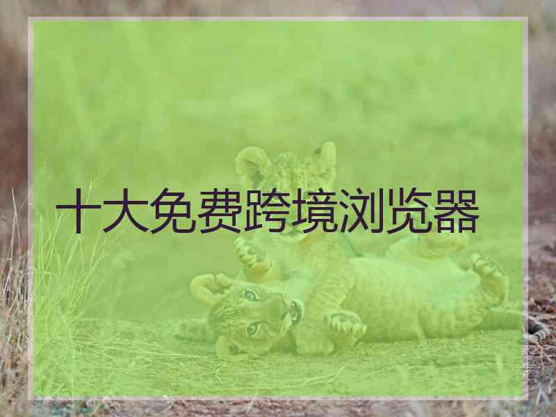 十大免费跨境浏览器