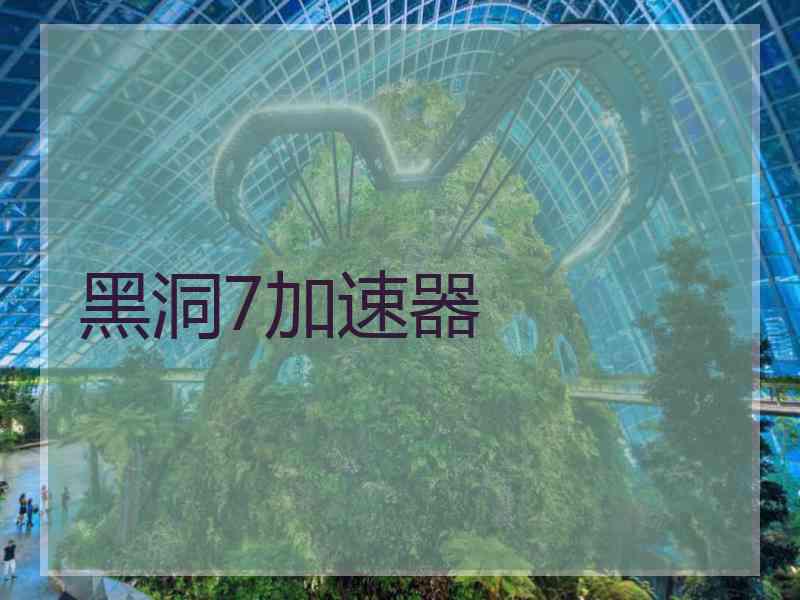 黑洞7加速器