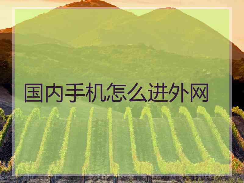 国内手机怎么进外网