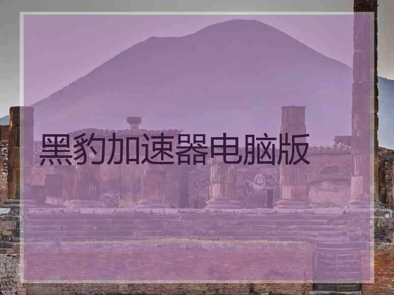 黑豹加速器电脑版