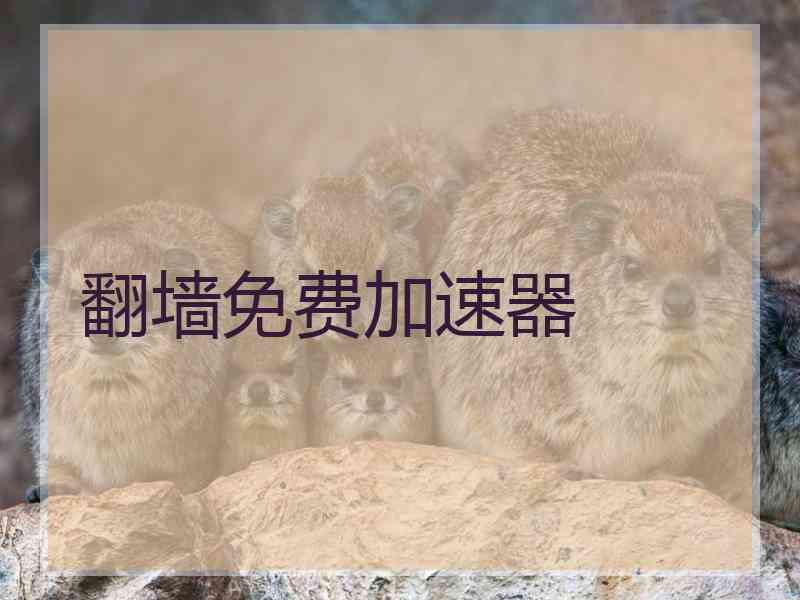 翻墙免费加速器