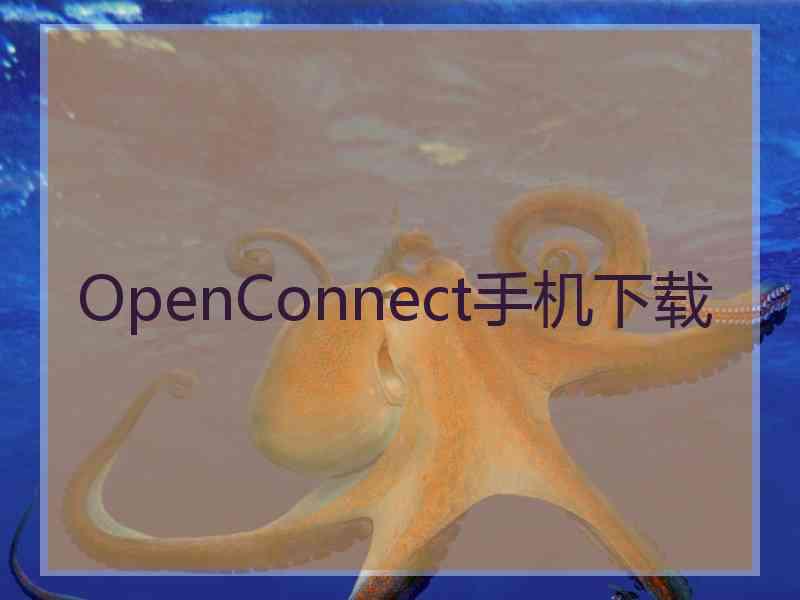 OpenConnect手机下载