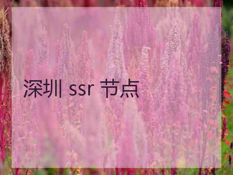 深圳 ssr 节点