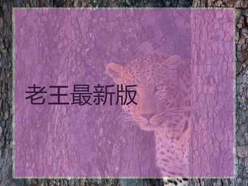 老王最新版