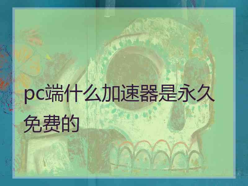pc端什么加速器是永久免费的