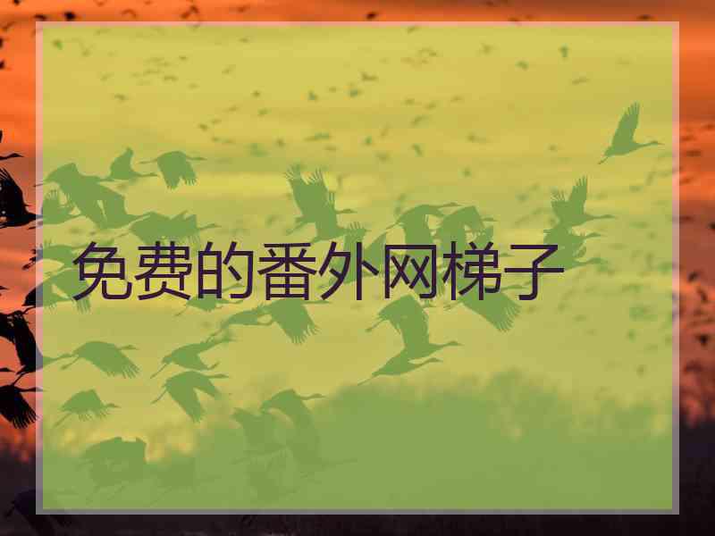 免费的番外网梯子