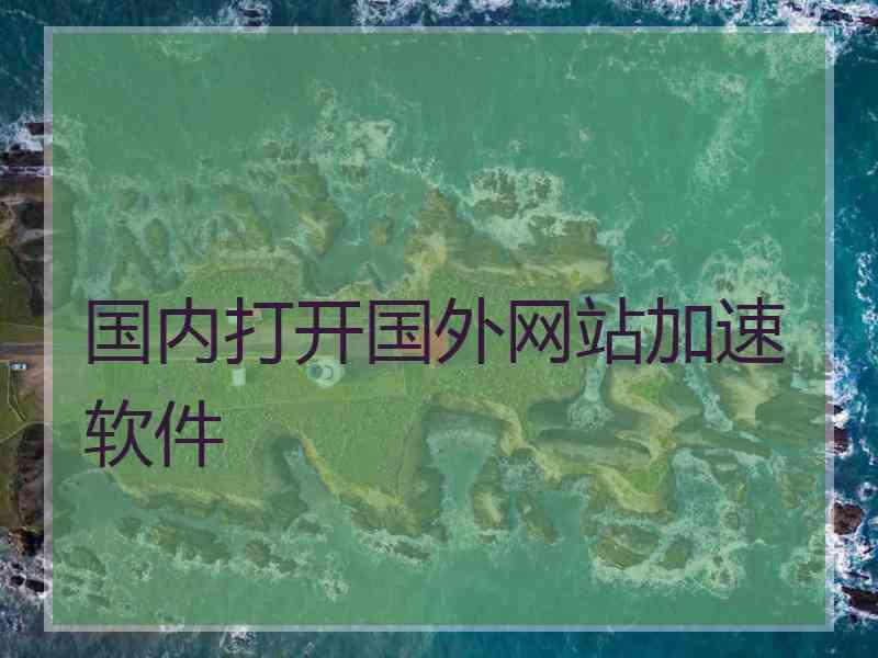 国内打开国外网站加速软件