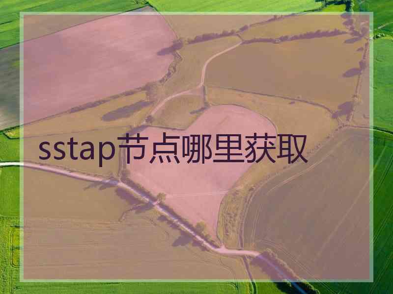sstap节点哪里获取