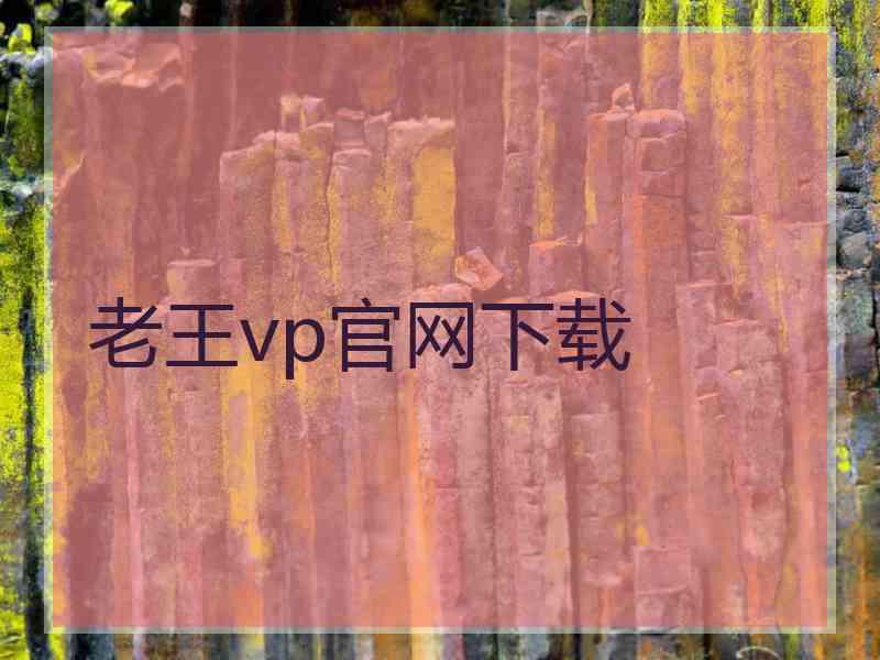 老王vp官网下载