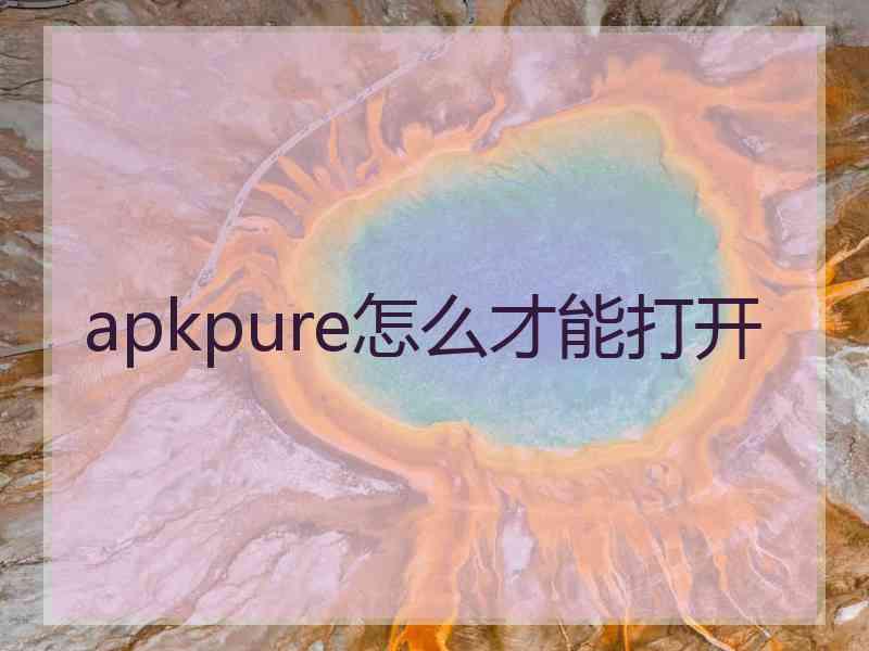 apkpure怎么才能打开