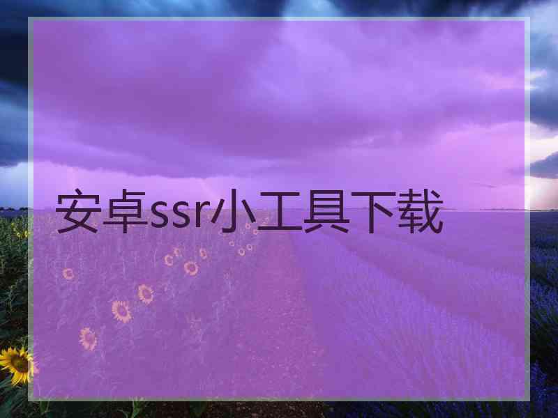 安卓ssr小工具下载