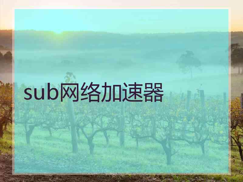 sub网络加速器