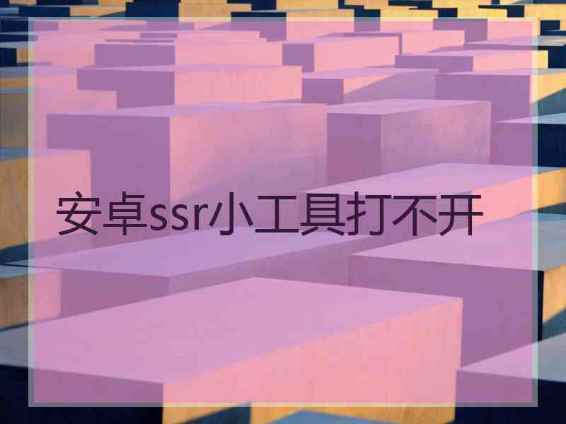 安卓ssr小工具打不开