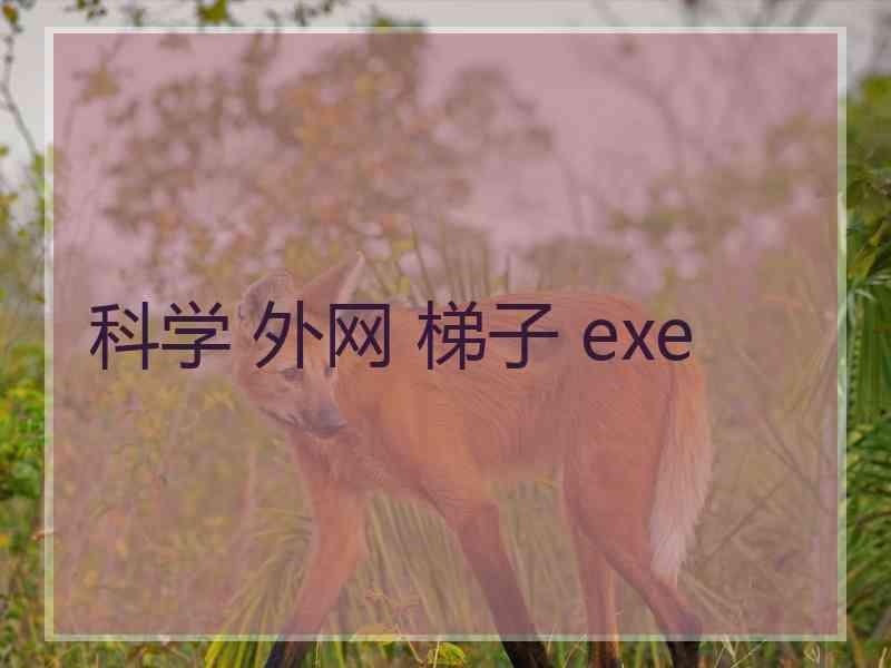 科学 外网 梯子 exe