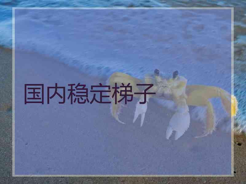 国内稳定梯子