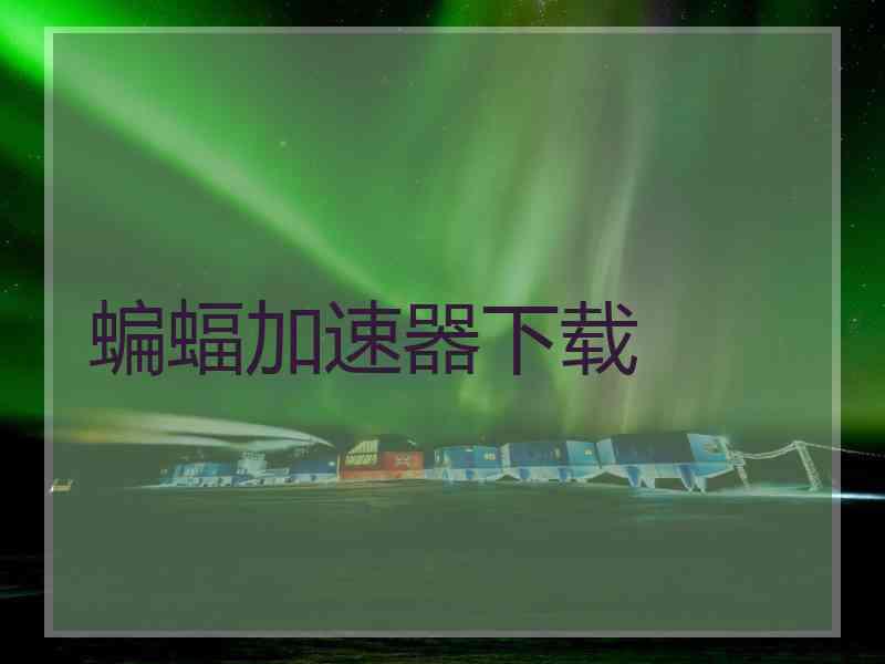 蝙蝠加速器下载