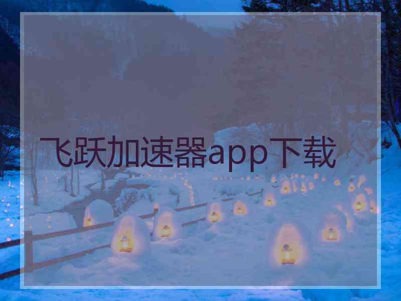 飞跃加速器app下载