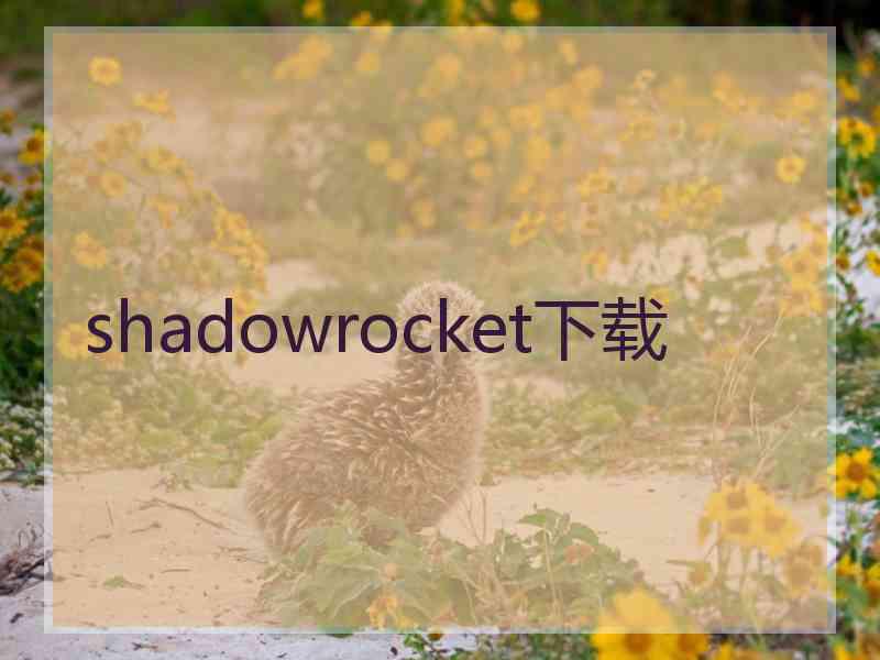 shadowrocket下载
