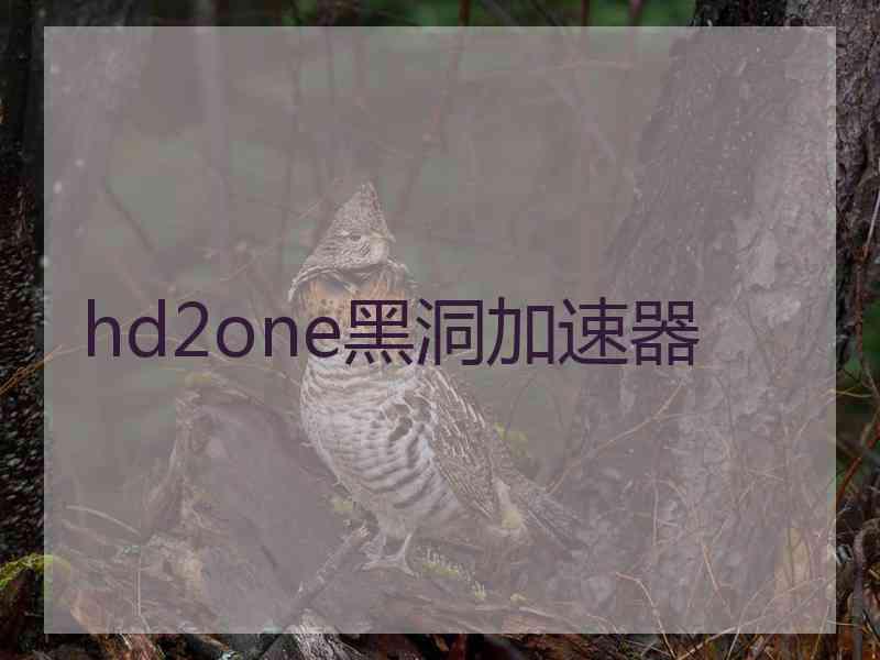 hd2one黑洞加速器