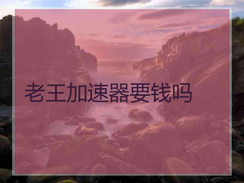 老王加速器要钱吗