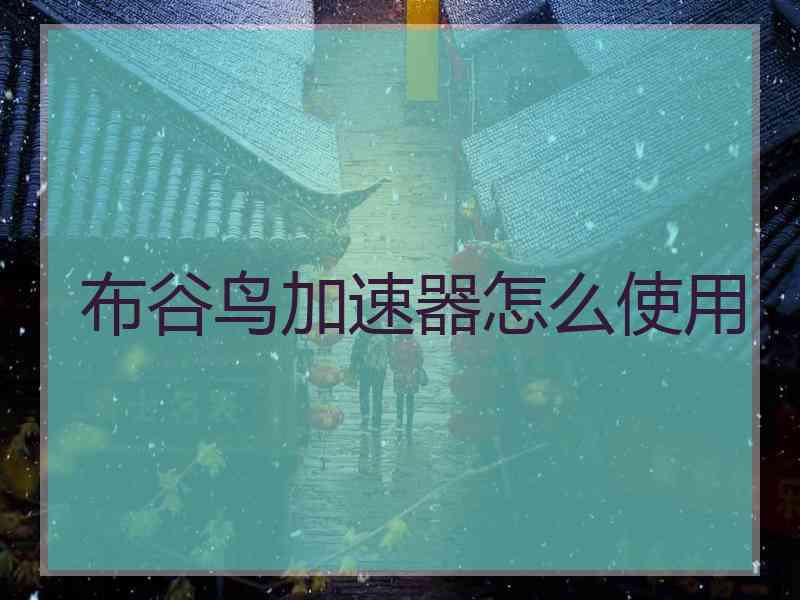 布谷鸟加速器怎么使用