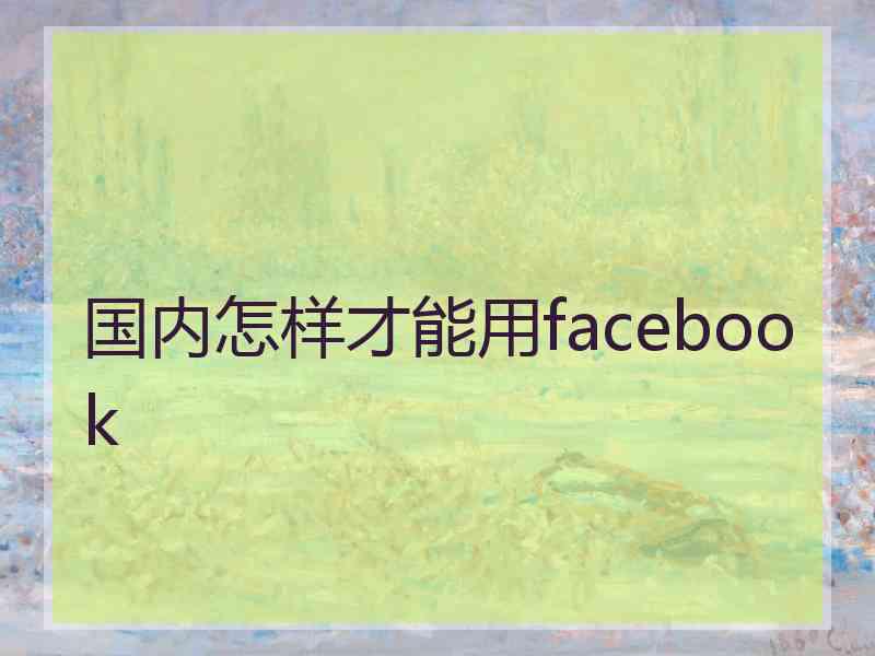国内怎样才能用facebook