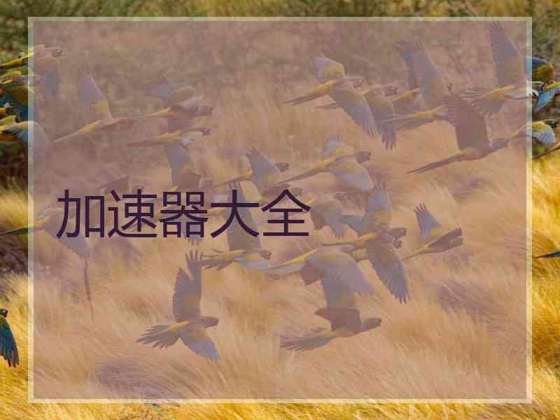加速器大全