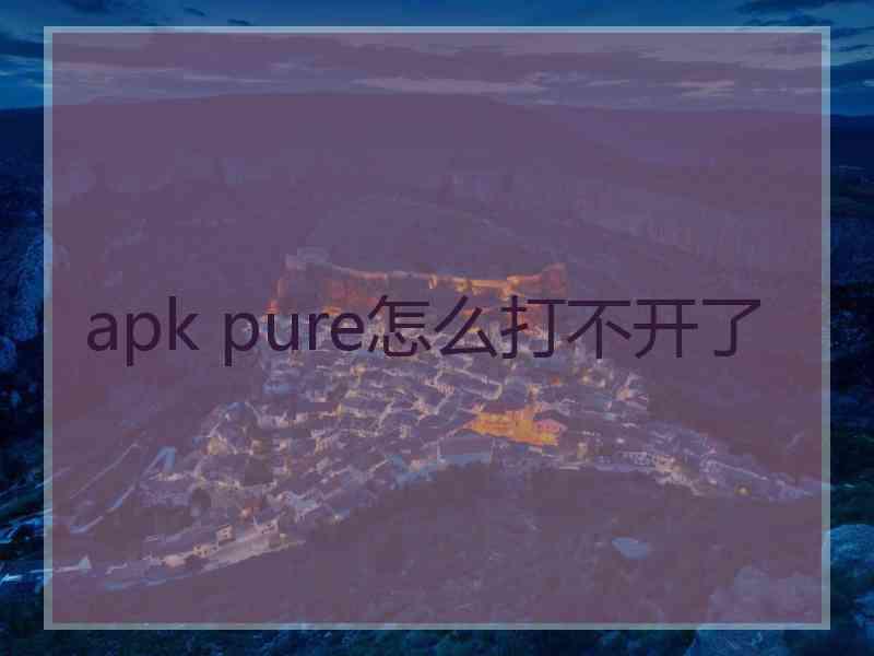 apk pure怎么打不开了