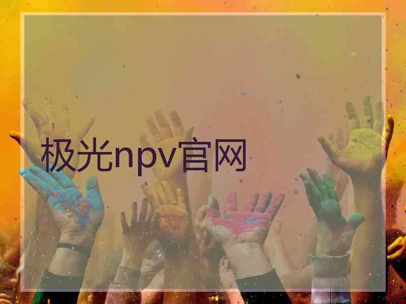 极光npv官网