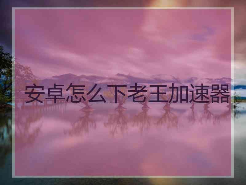安卓怎么下老王加速器