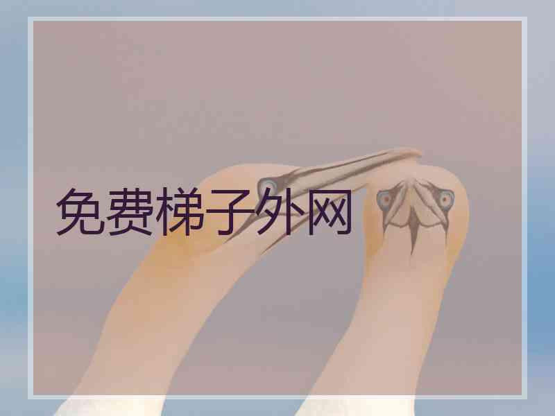 免费梯子外网
