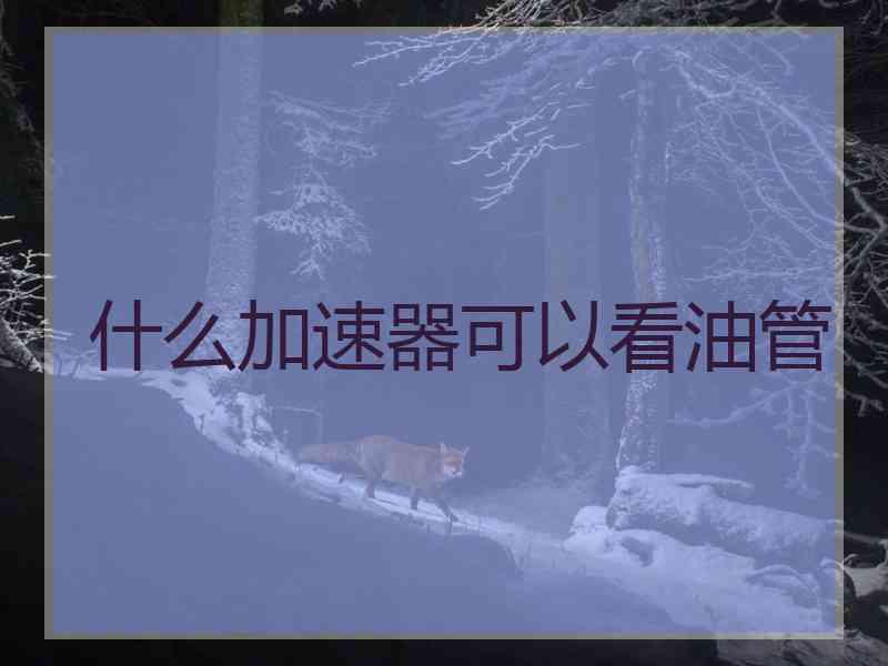 什么加速器可以看油管