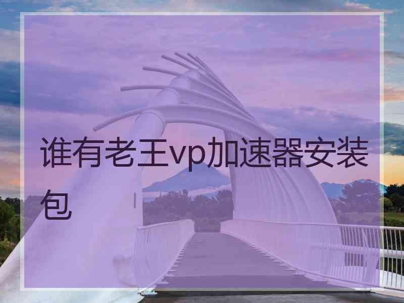 谁有老王vp加速器安装包