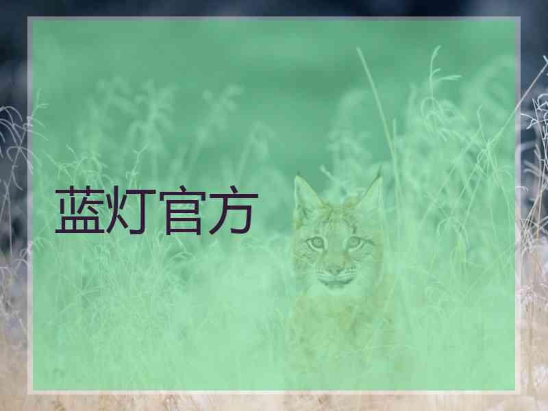 蓝灯官方
