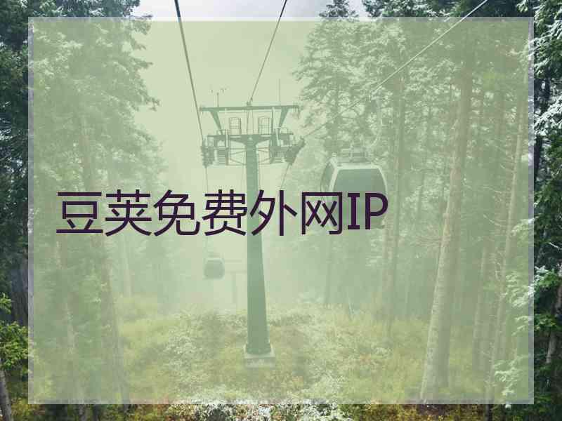 豆荚免费外网IP