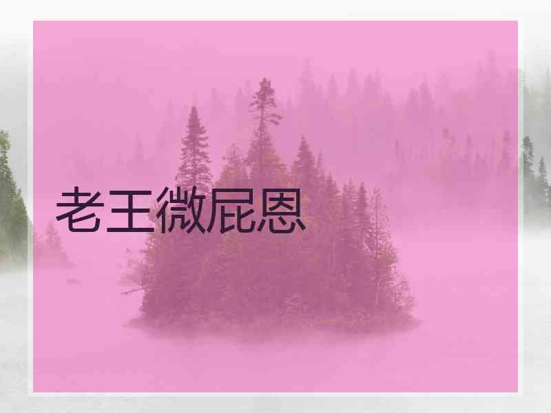 老王微屁恩