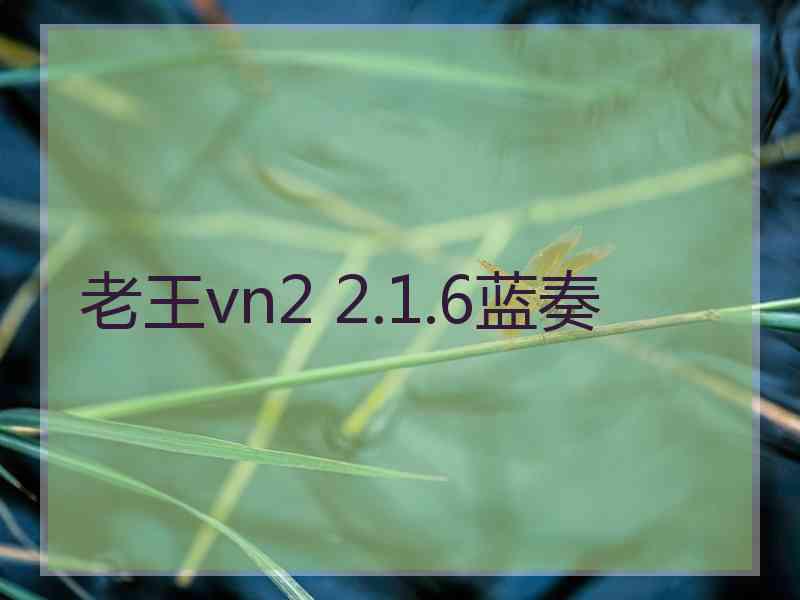 老王vn2 2.1.6蓝奏