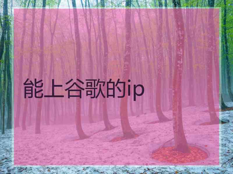 能上谷歌的ip