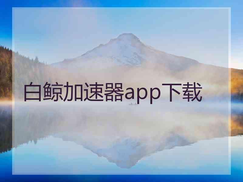 白鲸加速器app下载