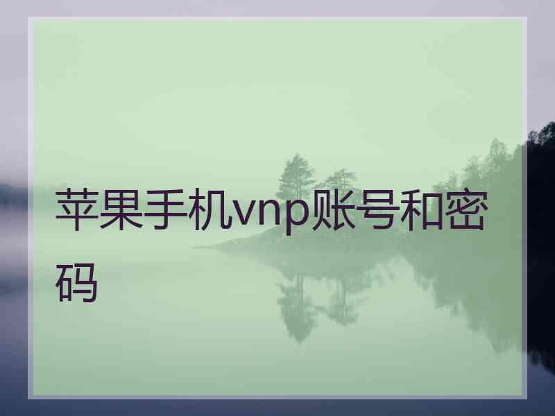 苹果手机vnp账号和密码