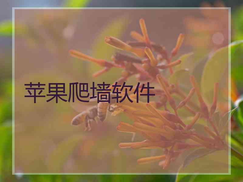 苹果爬墙软件