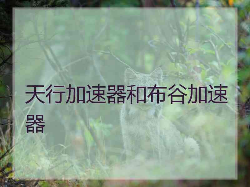 天行加速器和布谷加速器