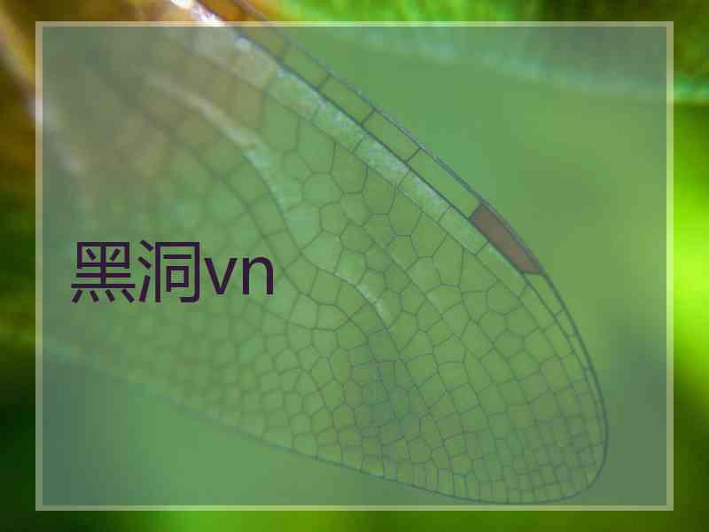 黑洞vn