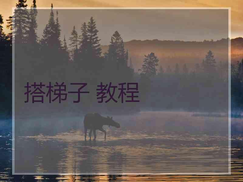 搭梯子 教程