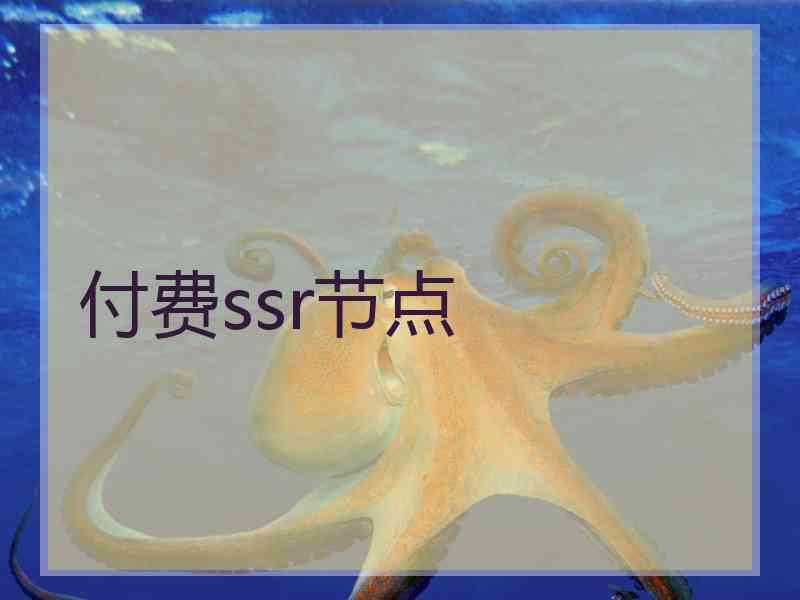 付费ssr节点